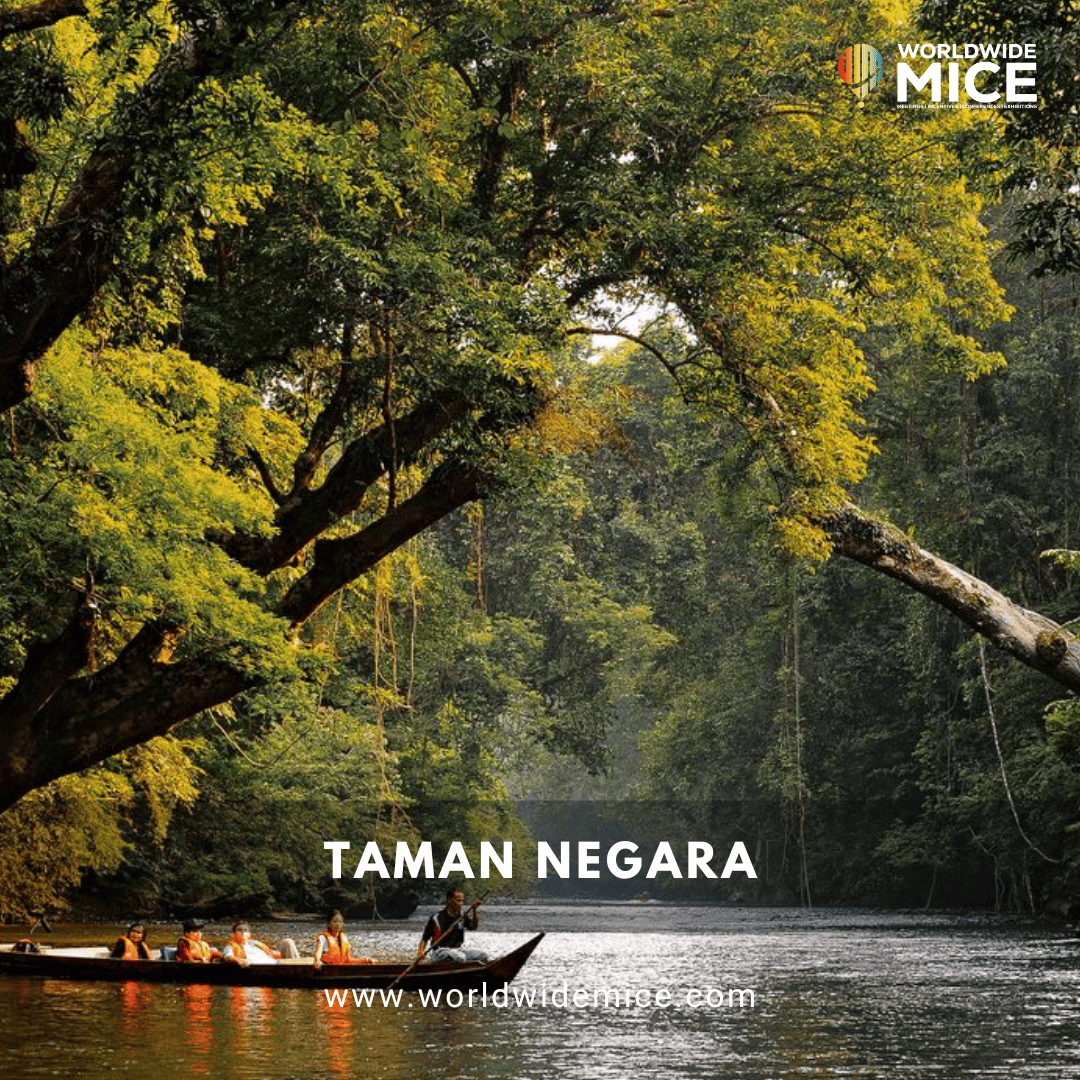 Taman Negara
